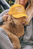 Hold My Drink I Gotta Pet This Dog Trucker Hat