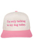 I'm Only Talking To My Dog Today Vintage Hat