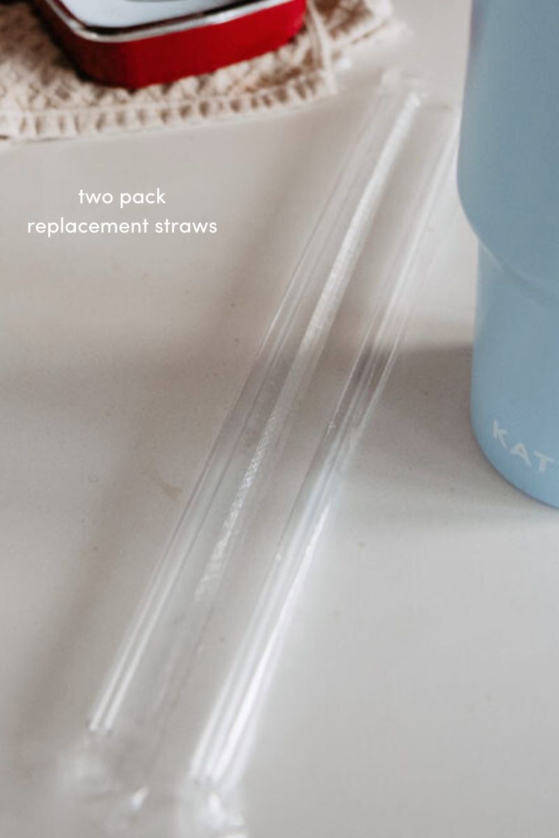 Replacement Tumbler Straws (pack of 2) - Katydid.com
